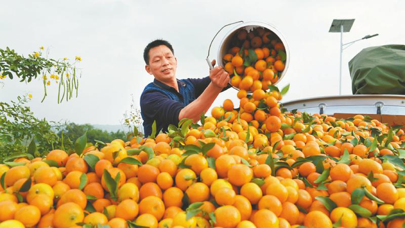 1764141999103312.jpg 137129fa6ad909211314a074afa9b047_1691d2b532c52d23e0cf927044178cb6.jpg