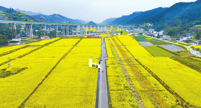 1764142331361808.jpg 3f7251e94ff4635a25bd28c7b7e97504_ad9e64f72e6a6a5c75176262f1bfd212.jpg