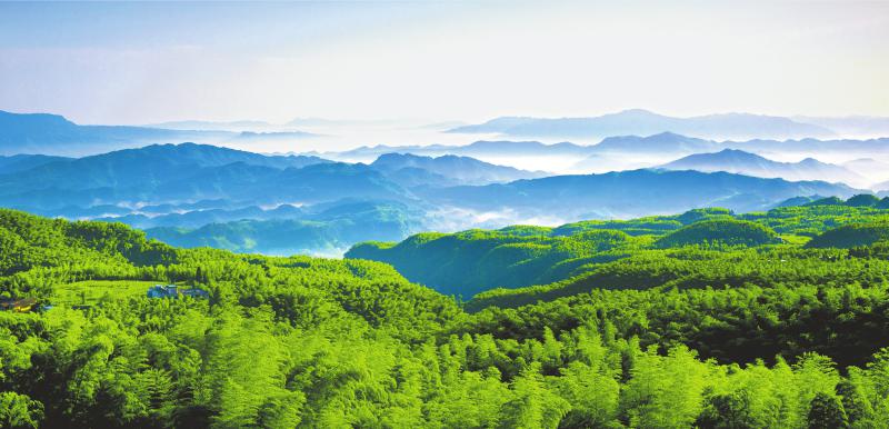 1764142789277704.jpg d17d1e12f78435d2c0107ebbb86ba7f9_db18285bd71b5704fd7eb2de58858b42.jpg