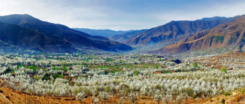 1764143208752444.jpg 未命名-1.jpg