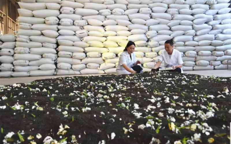 1764144489916599.jpg 未命名-1.jpg