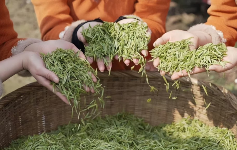 1764144505384152.jpg 未命名-1.jpg