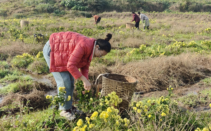 1764145749934817.jpg 未命名-1.jpg