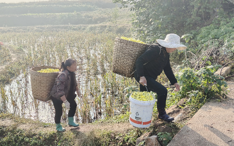 1764145793695194.jpg 未命名-1.jpg