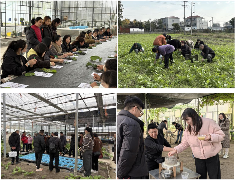 1764153104549359.jpg 未命名-1.jpg