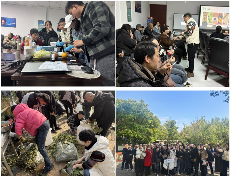 1764153137835941.jpg 未命名-1.jpg