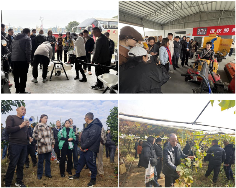 1764153155447836.jpg 未命名-1.jpg