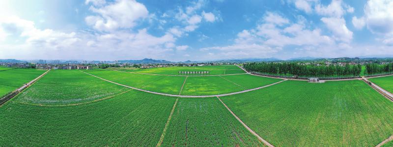 1764210172217764.jpg e5b4f6be1f90e03caf4602294e1ebf57_5961adbc426d9ed6e0fce04dad9f188c.jpg