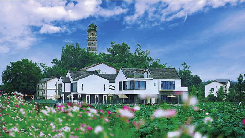 1764210244869290.png image.png