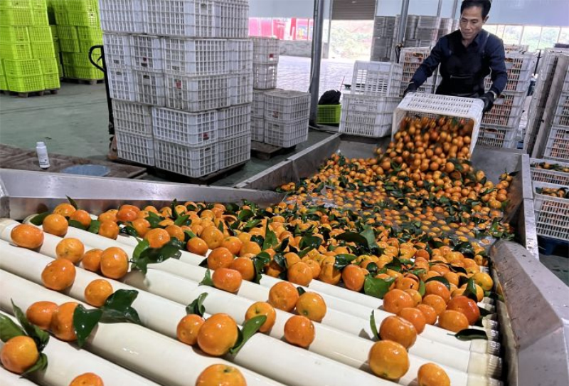 1764226873750773.jpg 未命名-1.jpg