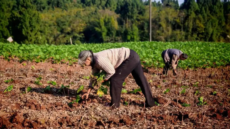 1764227261237847.jpg 未命名-1.jpg