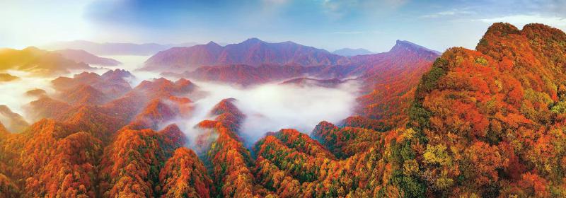 1764295636437056.jpg 432ac7b86f81cf875664ca517146ee4e_3de0158f90f9772420bb84f03e7f8d97.jpg