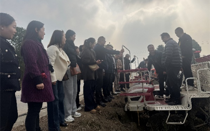 1764314325785104.jpg 未命名-1.jpg