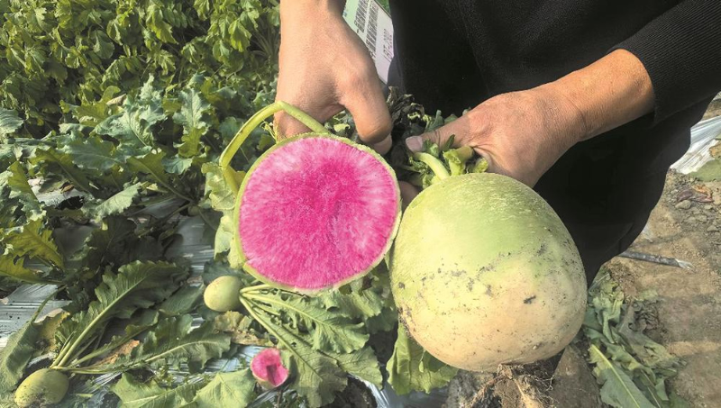 1764556791636358.jpg 未命名-1.jpg