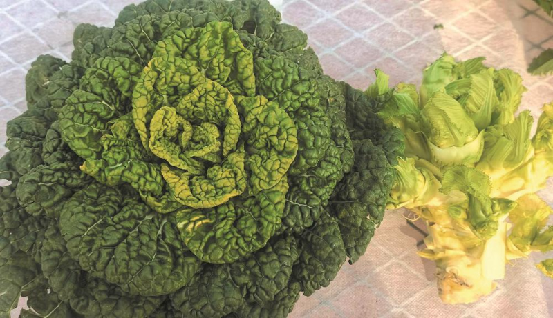 1764556810992545.jpg 未命名-1.jpg