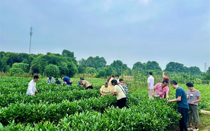 1764659393253327.jpg 未命名-1.jpg