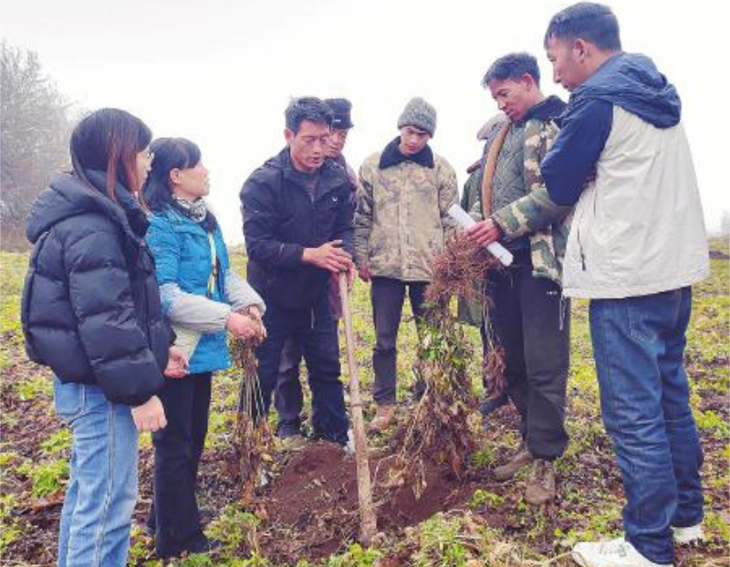 1764728400599351.jpg 未命名-1.jpg