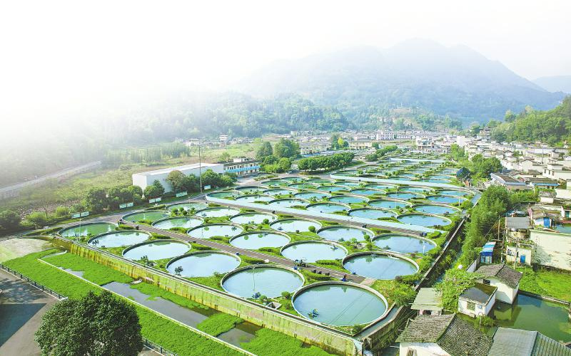 1764730026944197.jpg 未命名-1.jpg