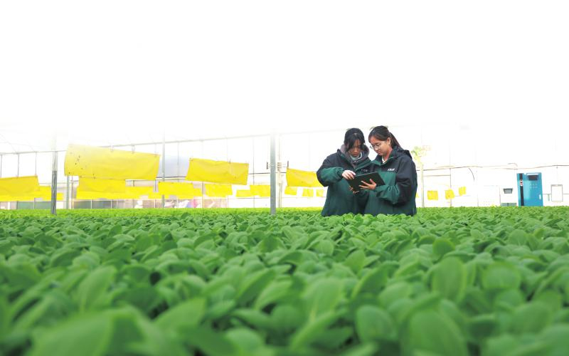 1764730783571555.jpg 未命名-1.jpg