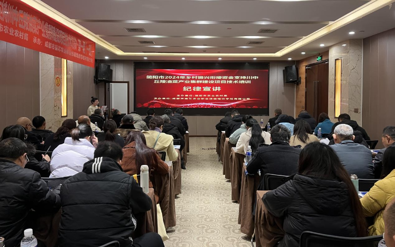 1764748814322570.jpg 未命名-1.jpg