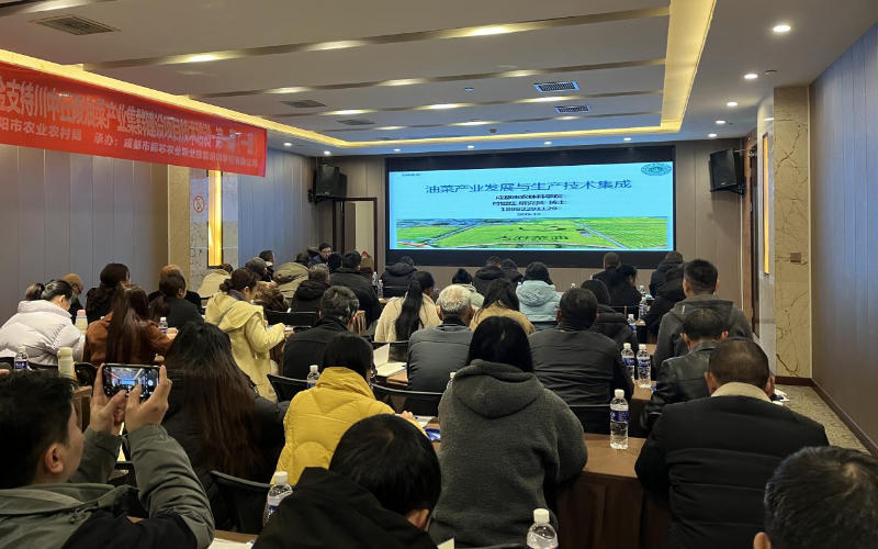 1764748893988073.jpg 未命名-1.jpg