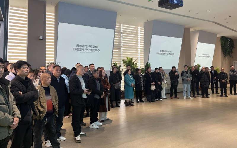 1764748922339125.jpg 未命名-1.jpg