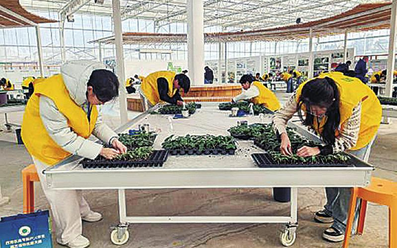 1764815536554173.jpg 未命名-1.jpg