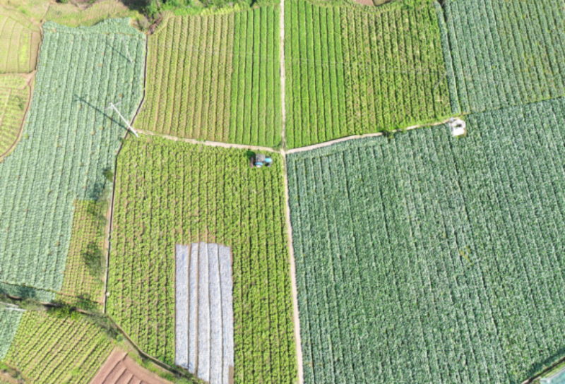 1765035823264292.png 1-11IMG_202512058210_800x544.png