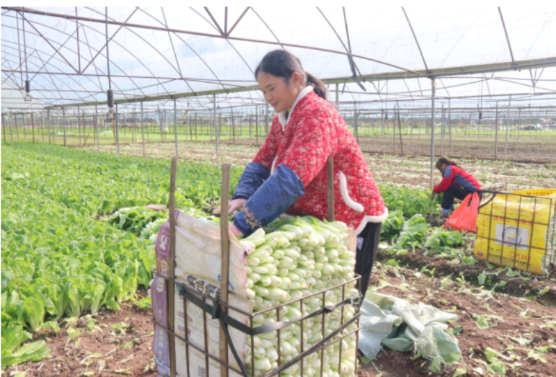 1765035919581541.png 1-16IMG_202512063666_800x542.png