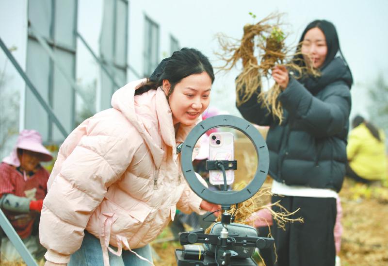 1765162728819992.jpg a266b86e217fb492da77f212fae3225d_9be405c99720f14751401c4533771614.jpg