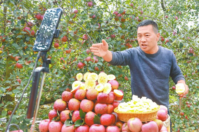 1765162754731882.jpg 99994a7dd8cec6c6b55aea47901ca497_2ac806cd51983462938a9f17c9c53720.jpg