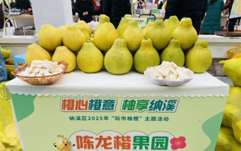 1765177850418975.jpg 未命名-1.jpg