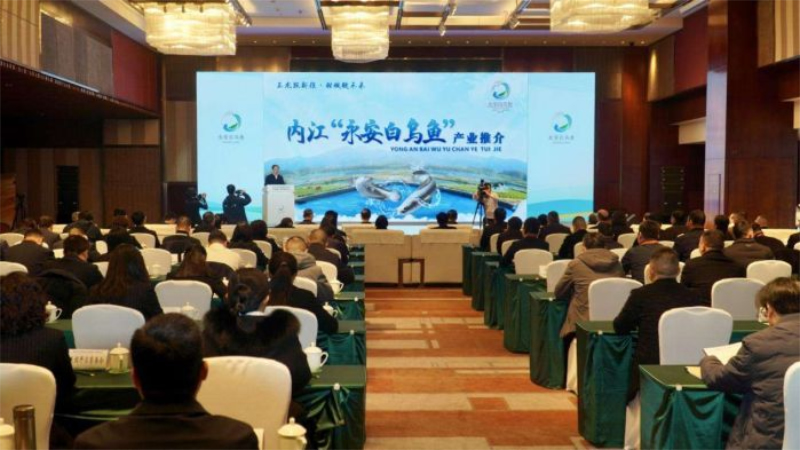 1765178082989051.jpg 未命名-1.jpg