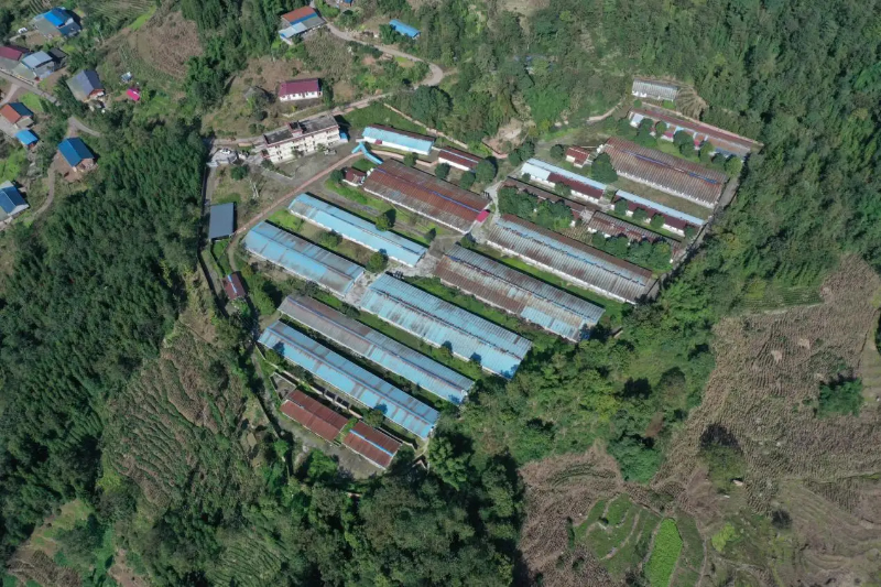 1765179197867578.jpg 未命名-1.jpg