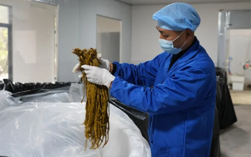 1765264056195263.jpg 未命名-1.jpg