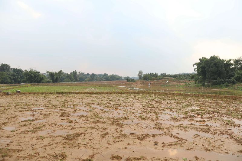 1765264552239565.jpg 未命名-1.jpg