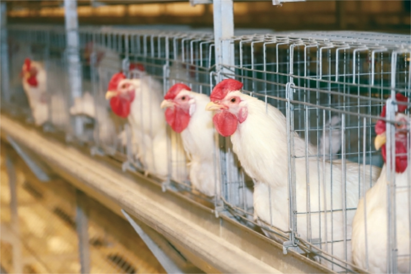 1765265204549220.jpg 未命名-1.jpg