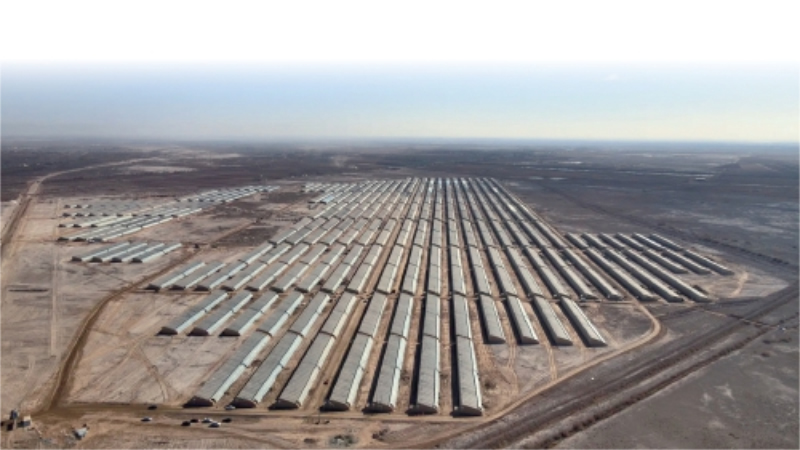 1765265236878044.jpg 未命名-1.jpg