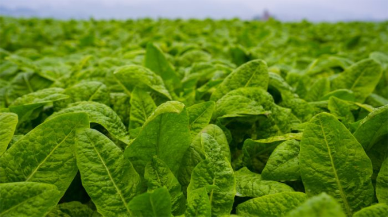 1765334876343380.jpg 未命名-1.jpg