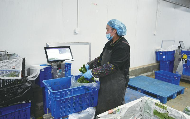 1765418784377073.jpg 未命名-1.jpg