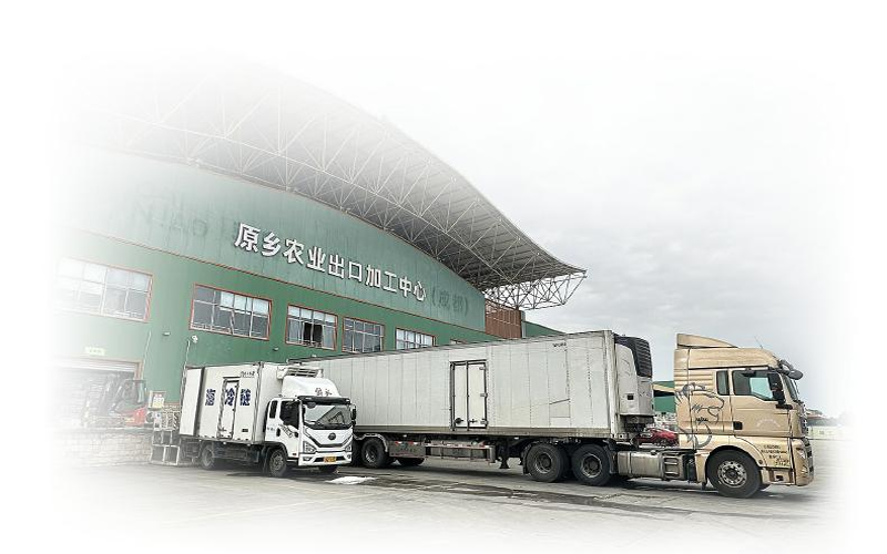 1765419118642351.jpg 未命名-1.jpg