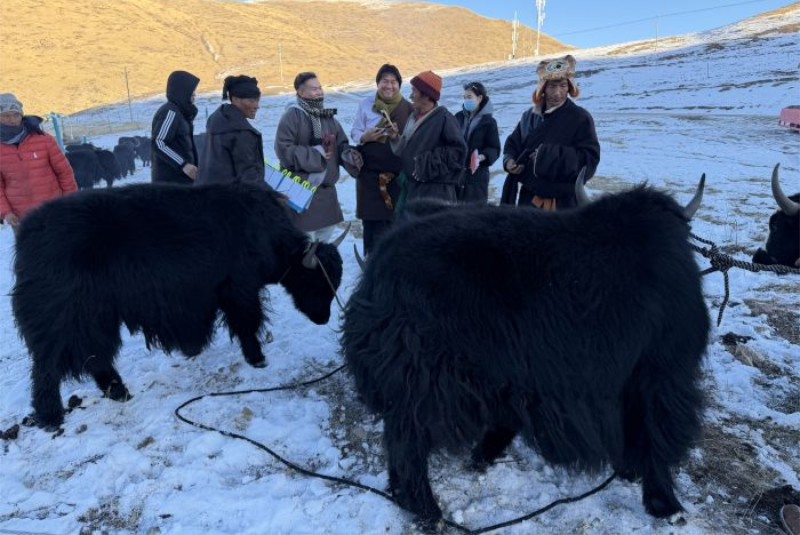 1765435157939653.jpg 未命名-1.jpg