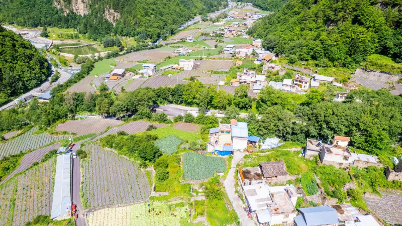 1765437957522950.jpg 未命名-1.jpg