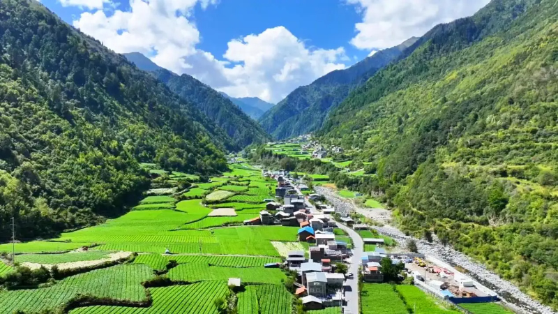 1765437984638700.jpg 未命名-1.jpg