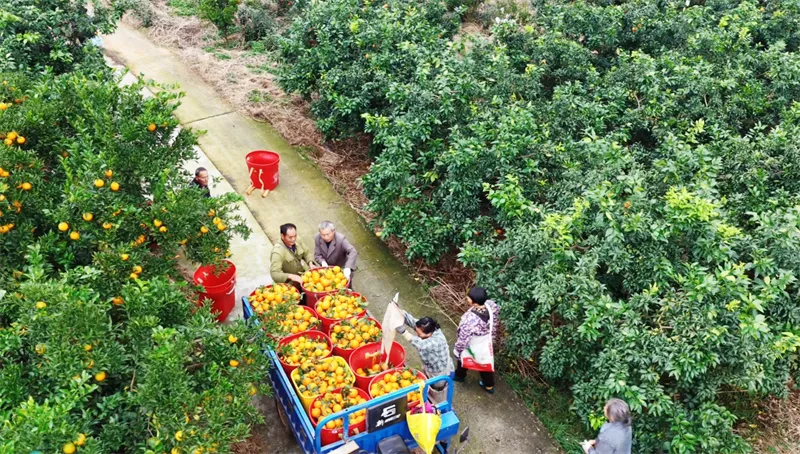 1765438368741939.jpg 未命名-1.jpg