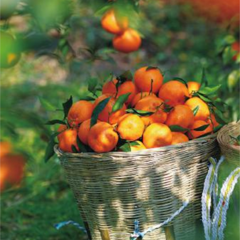 1765504756413870.jpg 未命名-1.jpg