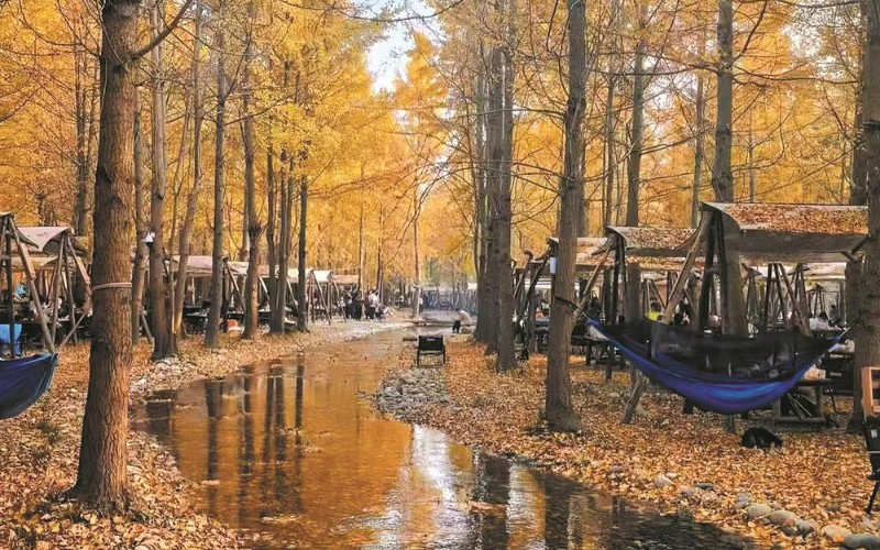 1765506517757461.jpg 未命名-1.jpg