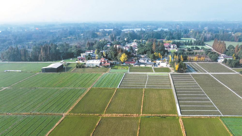 1765506543324461.jpg 未命名-1.jpg