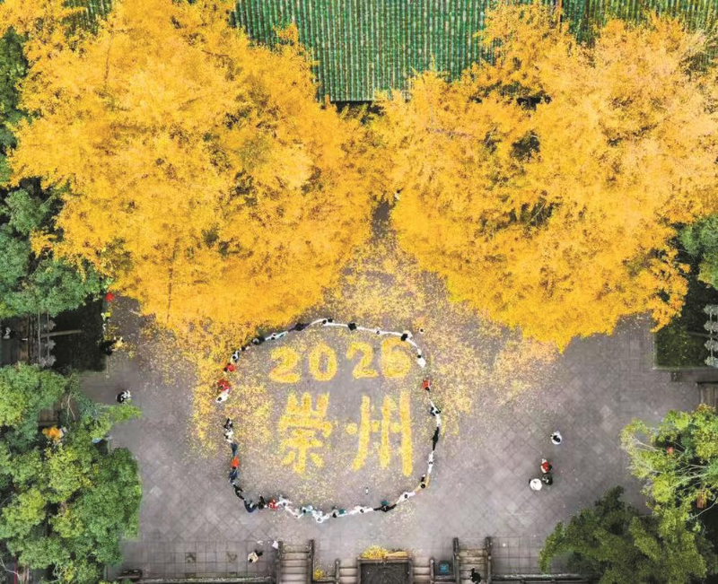 1765506568515445.jpg 未命名-1.jpg