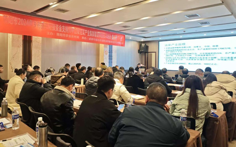 1765507703647532.jpg 未命名-1.jpg